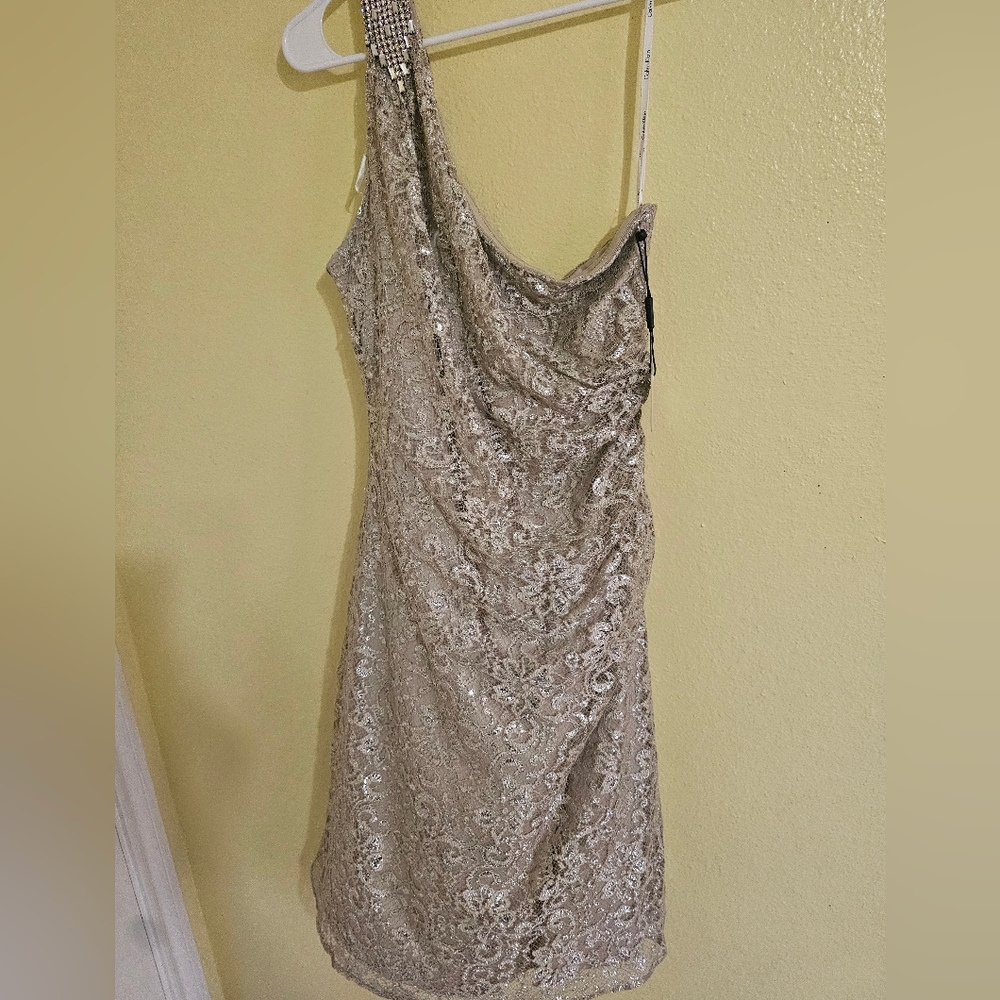Calvin Klein Collection One-Shoulder Dress in Silver